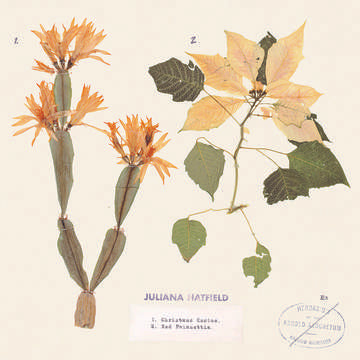 Hatfield, Juliana - Christmas Cactus/Red Poinsettia (RSD Black Friday 11.27.2020) ((Vinyl))