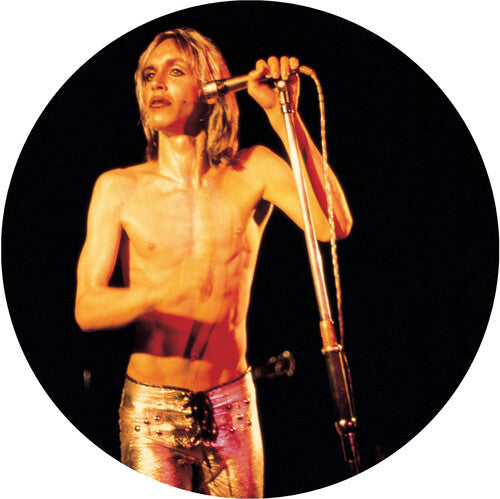 Iggy & The Stooges - More Power - A Gorgeous Picture Disc Vinyl (Picture Disc Vinyl L ((Vinyl))