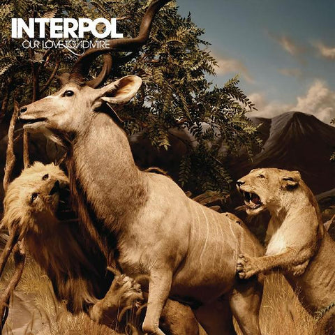 Interpol - Our Love To Admire (Vinyl) ((Vinyl))