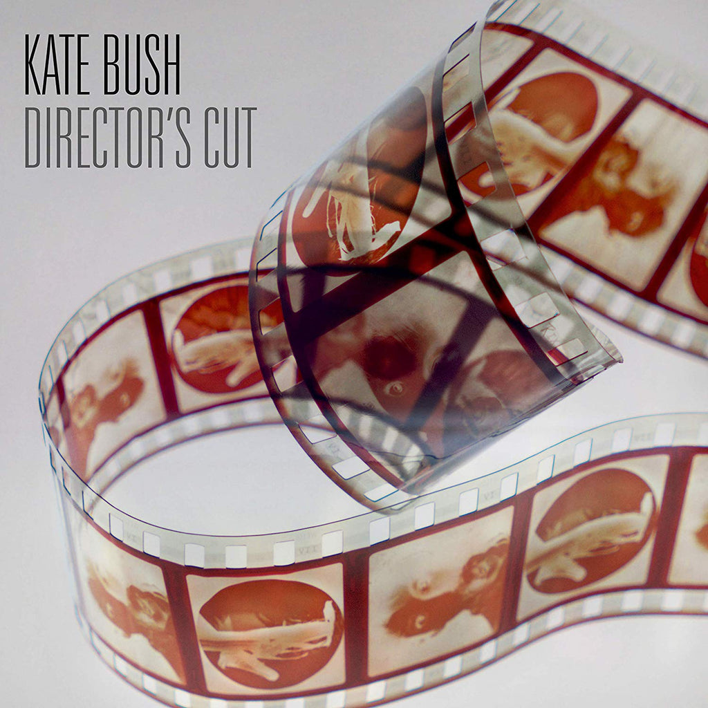 Kate Bush - Director's Cut (2018 Remaster) ((Vinyl))