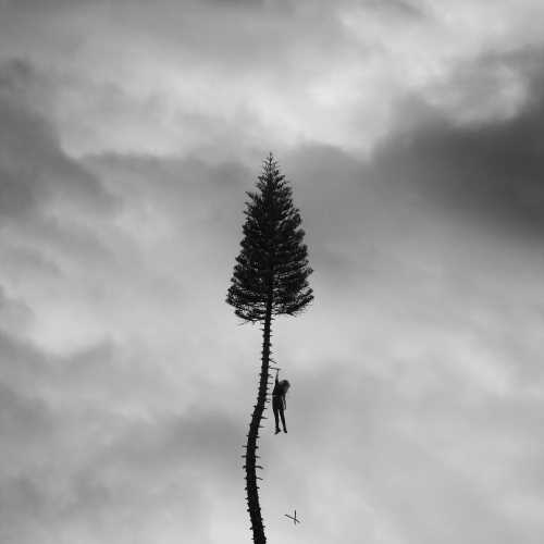 Manchester Orchestra - A Black Mile To The Surface [Gray Marble 2 LP] ((Vinyl))