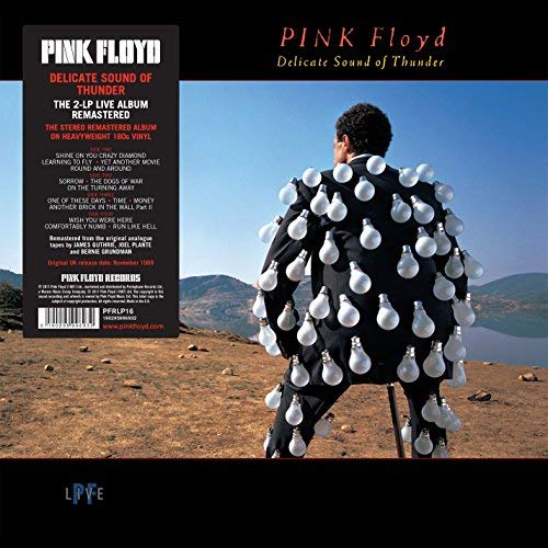 Pink Floyd - Delicate Sound Of Thunder ((Vinyl))