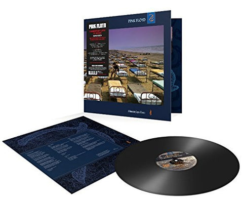 Pink Floyd - Pink Floyd - Momentary Lapse Of Reason (2011 Remastered) LP ((Vinyl))