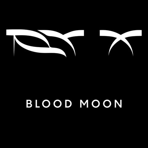 RY X - Blood Moon ((CD))