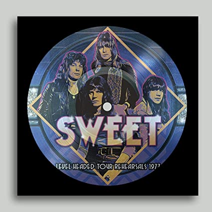 SWEET, THE - LEVEL HEADED TOUR REHEARSALS 1977 (PICTURE DISC) ((Vinyl))
