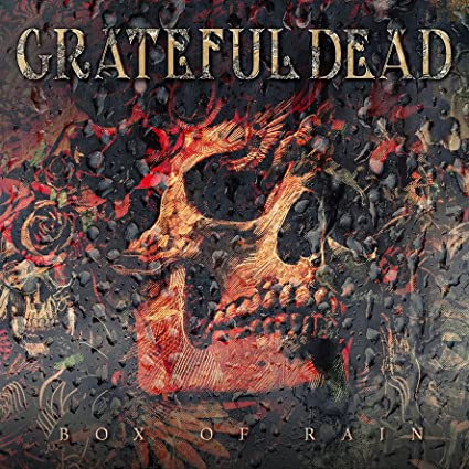 The Grateful Dead - Box of Rain (10 Cd's) ((CD))