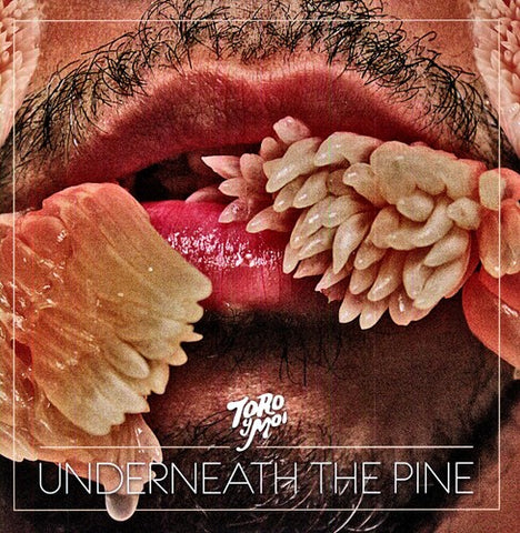 Toro y Moi - Underneath the Pine ((Vinyl))