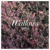 Wallows - Spring ((Vinyl))