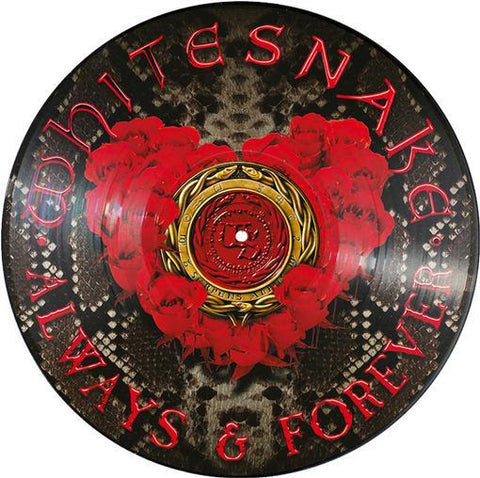 Whitesnake - Always & Forever ((Vinyl))