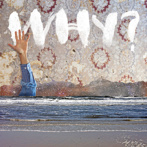 Why - Moh Lhean (Download Card) ((Vinyl))
