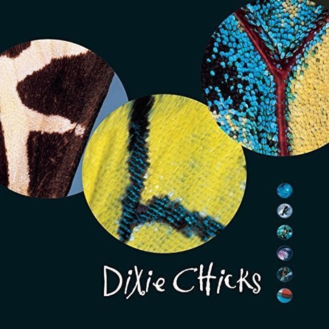Dixie Chicks - Fly (Remastered, 150 Gram Vinyl, Gatefold LP Jacket) (2 Lp's) ((Vinyl))