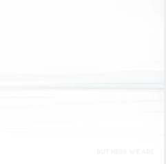 Foo Fighters - But Here We Are (White Vinyl) ((Vinyl))