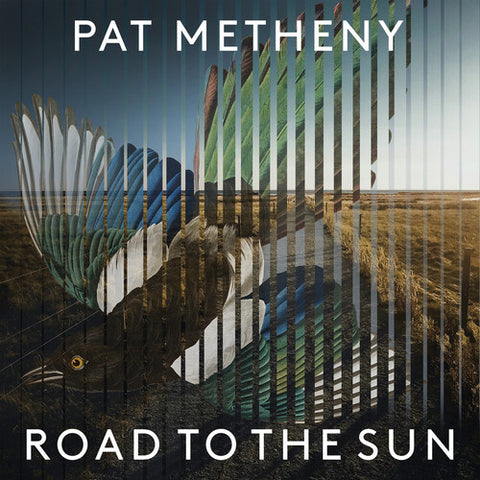 Pat Metheny - Road To The Sun (2 Lp's) ((Vinyl))
