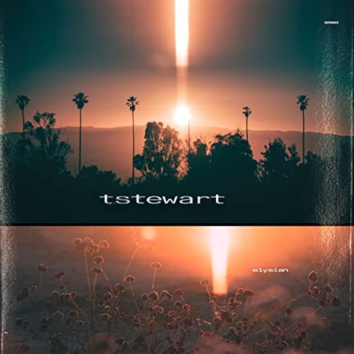 tstewart/Machinedrum - elysian ((CD))